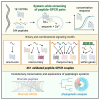 Graphical abstract