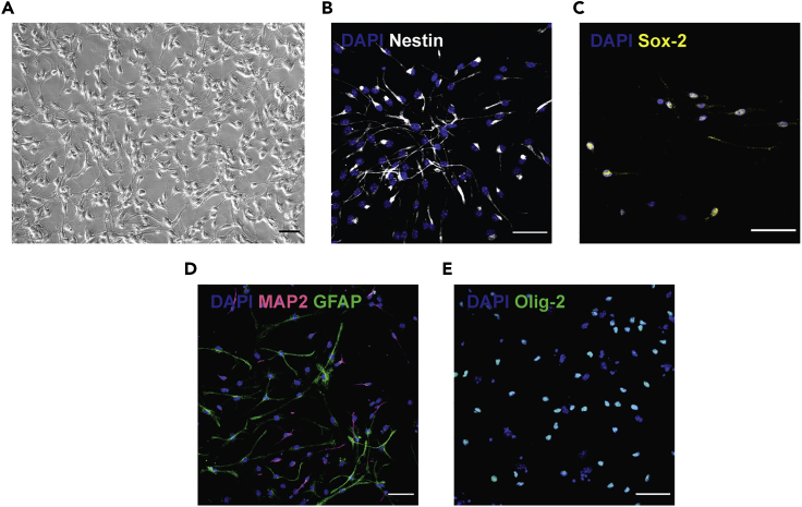 Figure 3