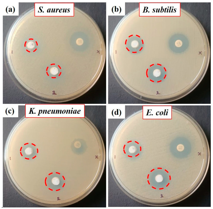 Figure 10