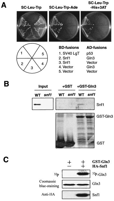 FIG. 5.