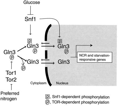 FIG. 7.