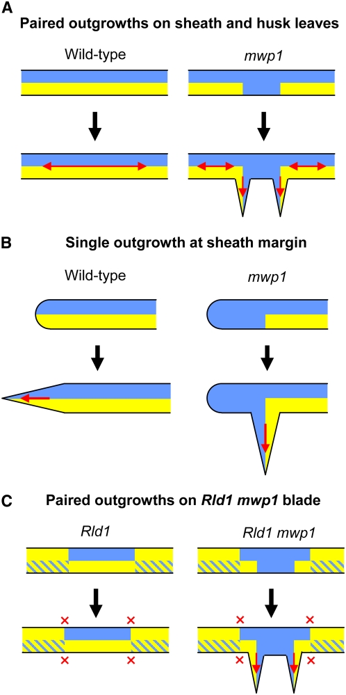 Figure 8.