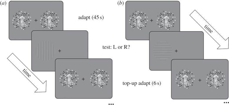 Figure 2.