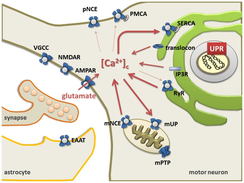 FIGURE 1