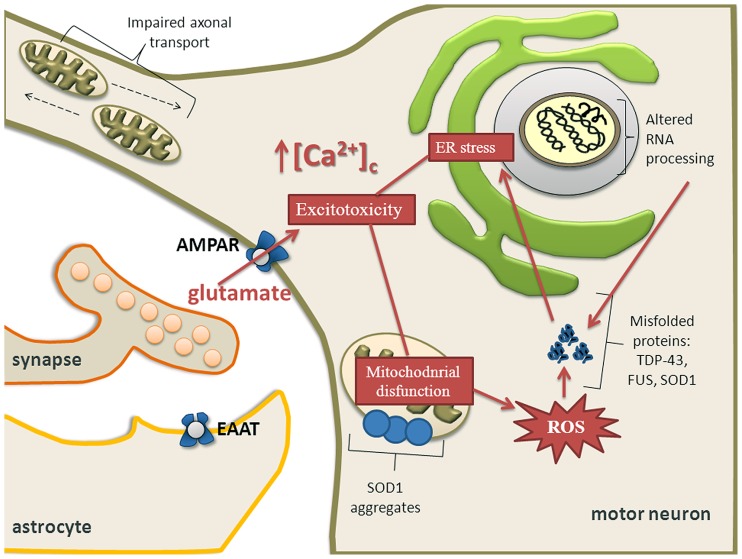 FIGURE 3