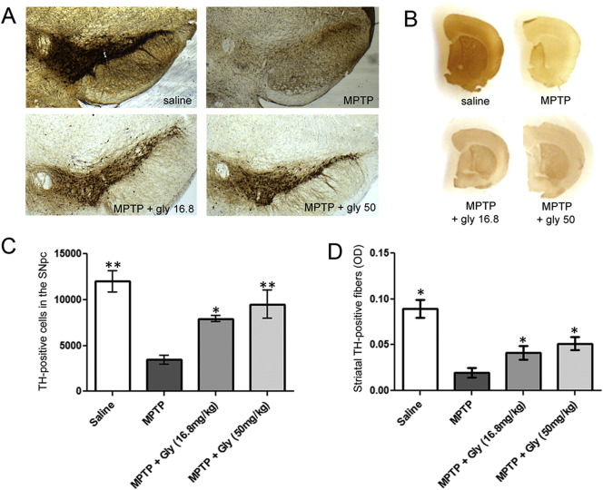 Fig. 8