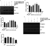 Figure 2.