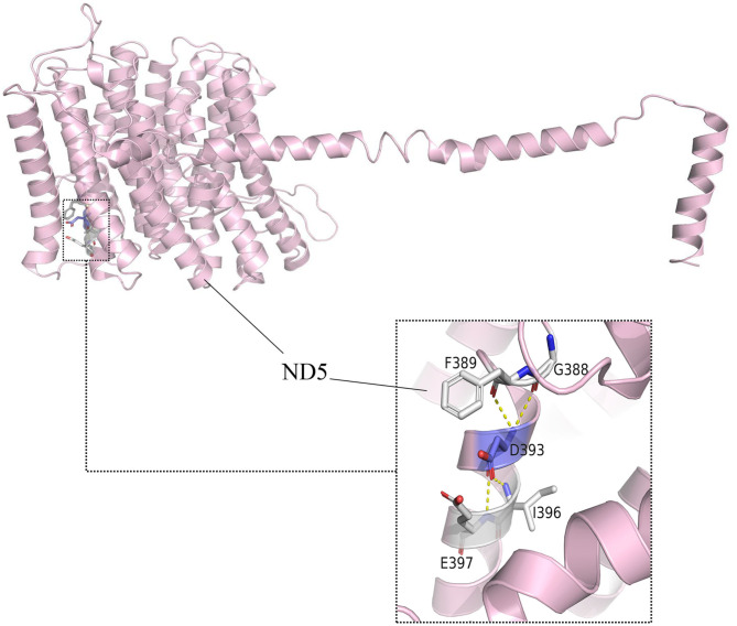 Figure 5