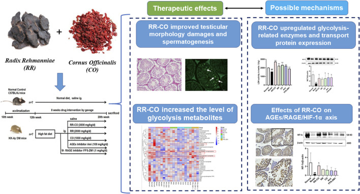 GRAPHICAL ABSTRACT