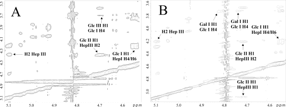 FIG. 5.