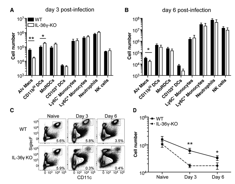 Figure 4: