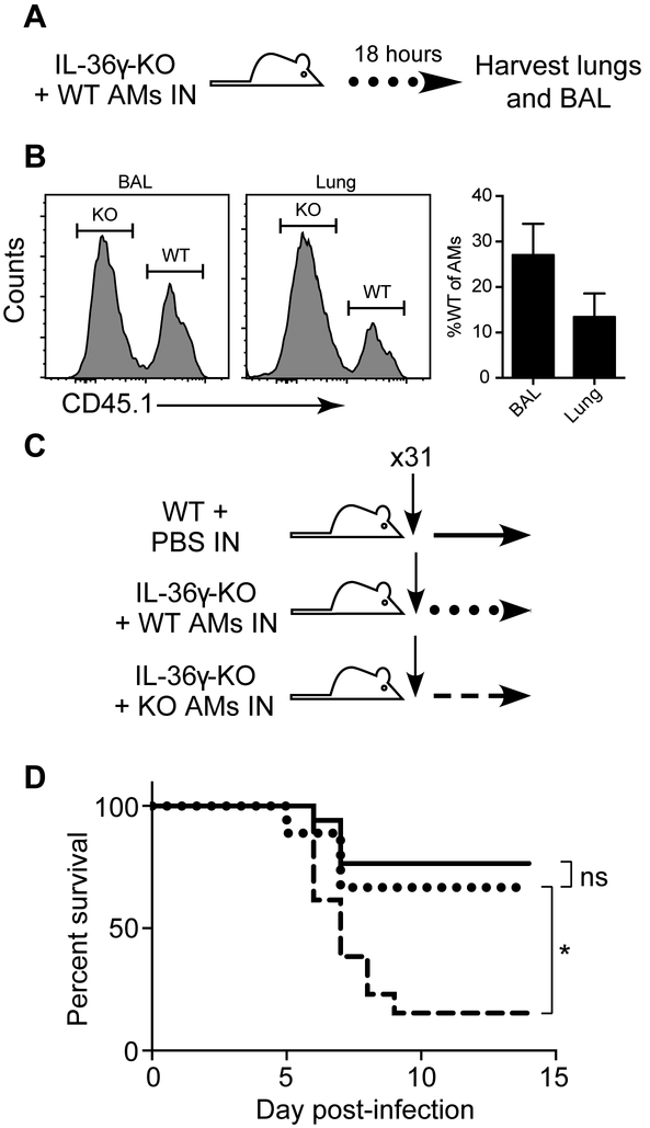 Figure 6: