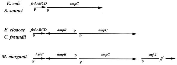 FIG. 7