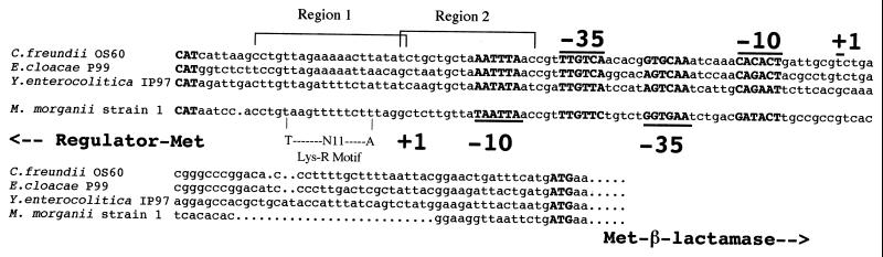 FIG. 5