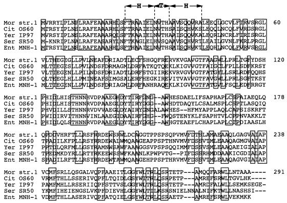 FIG. 6