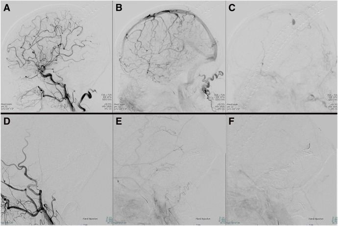 Fig. 5