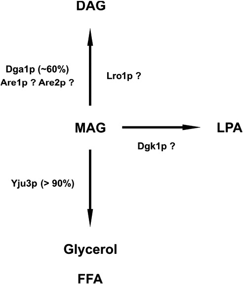 Fig. 6