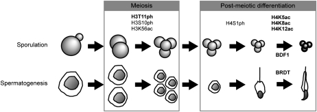 Figure 9.