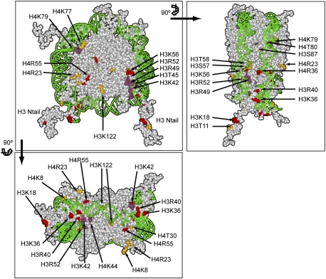 Figure 2.