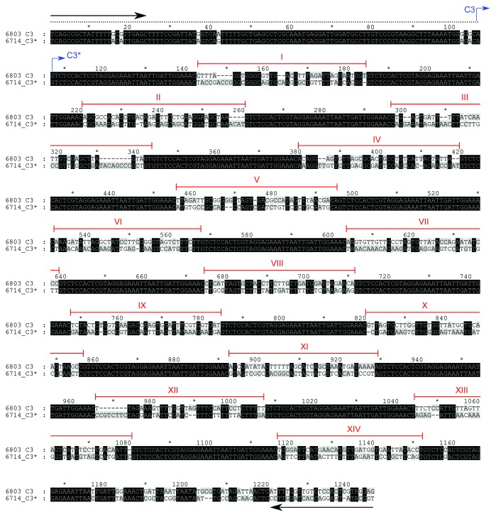 graphic file with name rna-10-852-g2.jpg