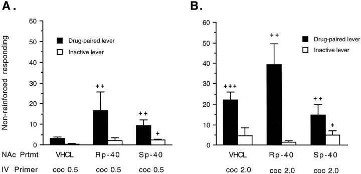 Fig. 11.