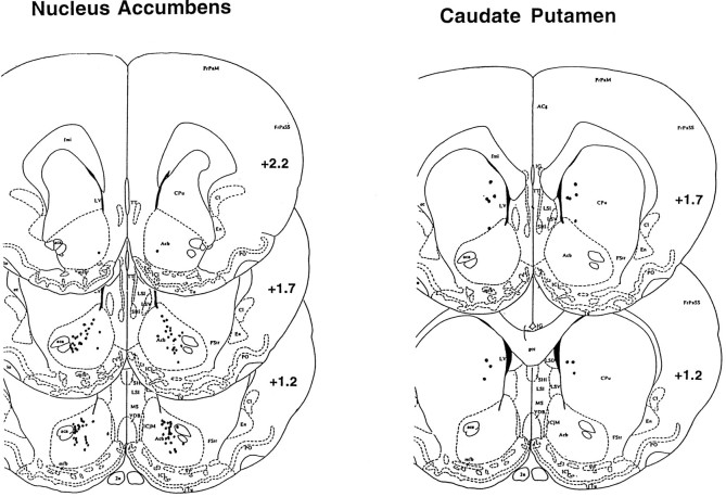 Fig. 12.