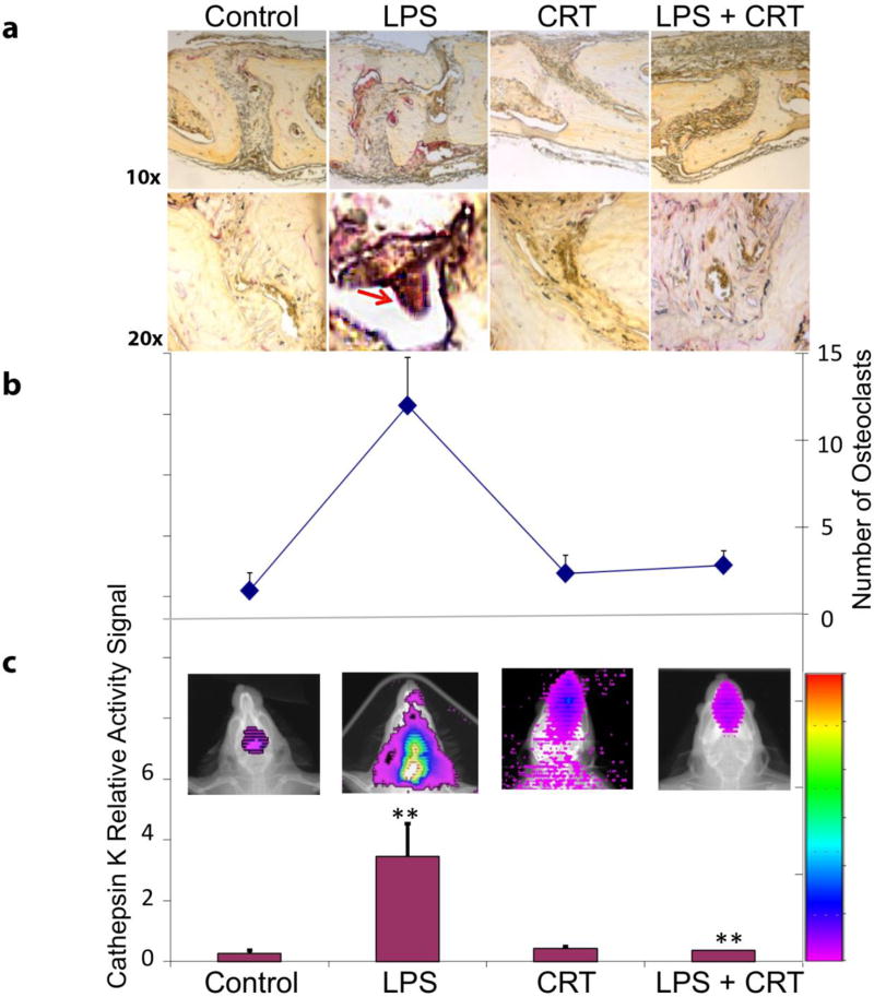 FIGURE 4