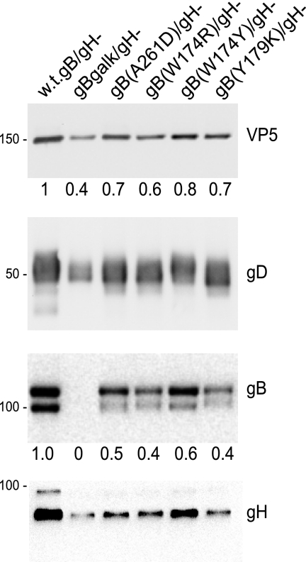 FIG. 1.