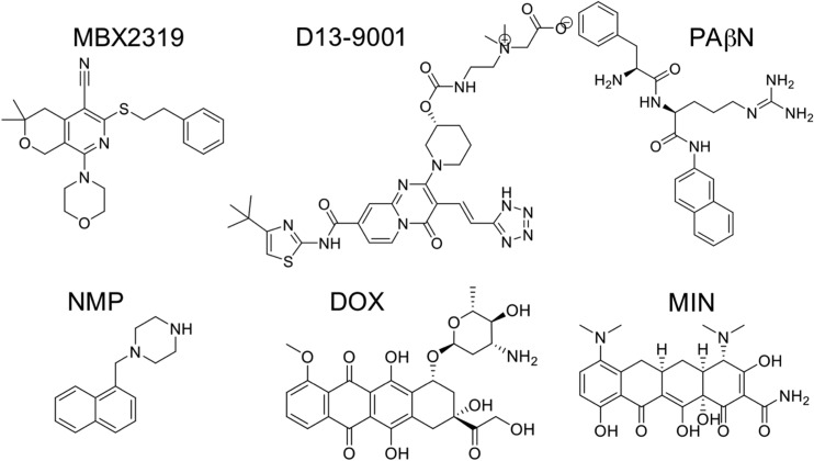 FIG 2