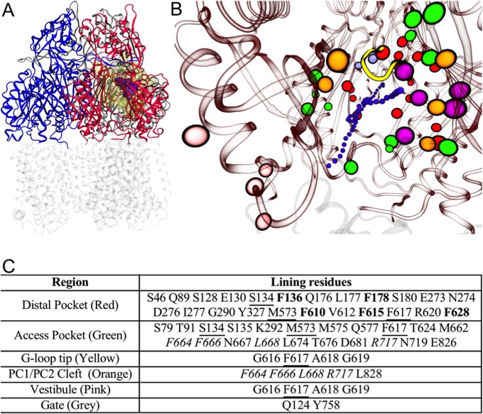 FIG 1