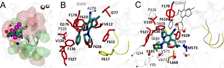 FIG 3