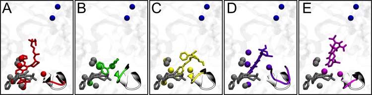 FIG 6