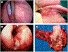 Figure 3: