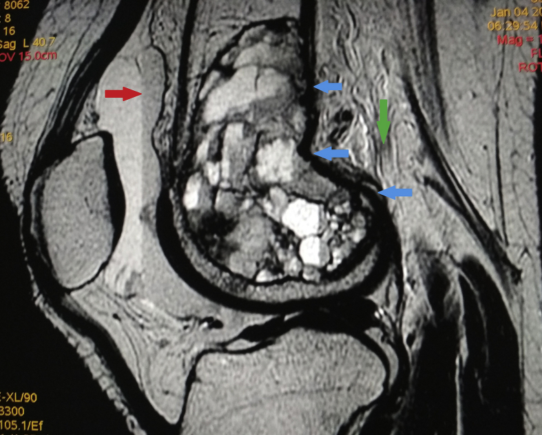 Fig. 6