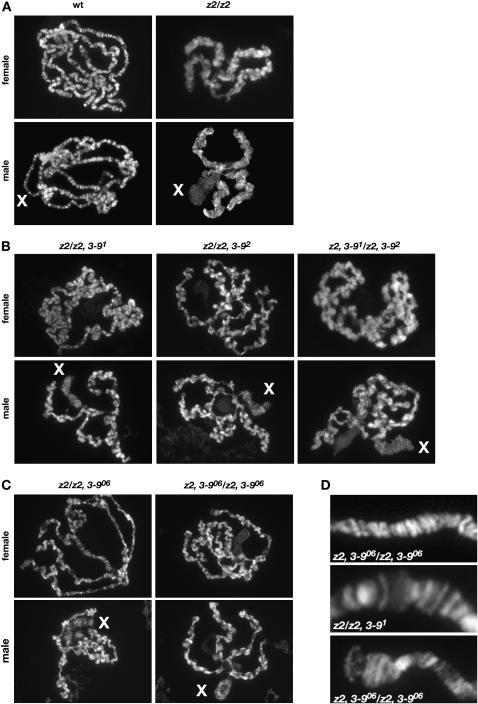 Figure 1.—