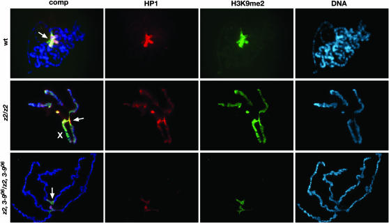 Figure 2.—