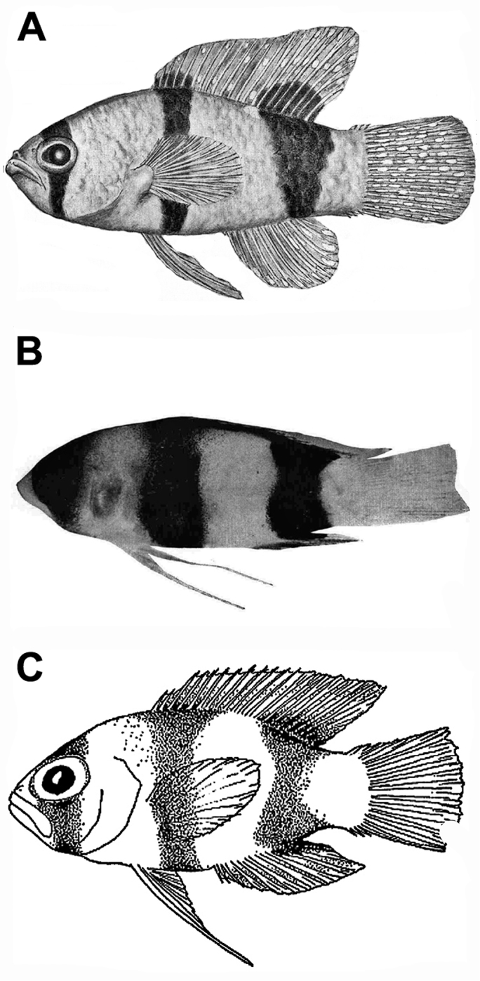 Figure 1.