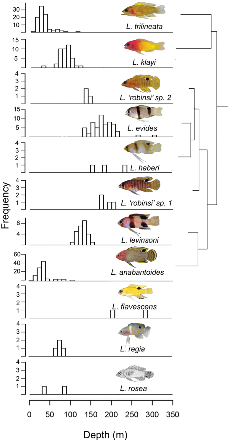 Figure 10.