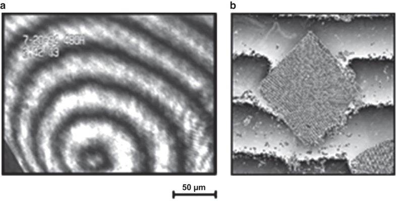 Figure 22