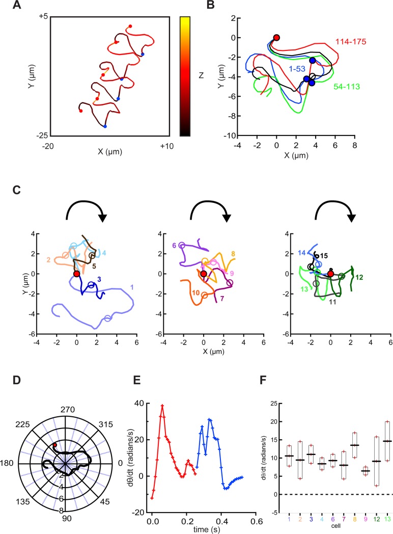 Fig 3