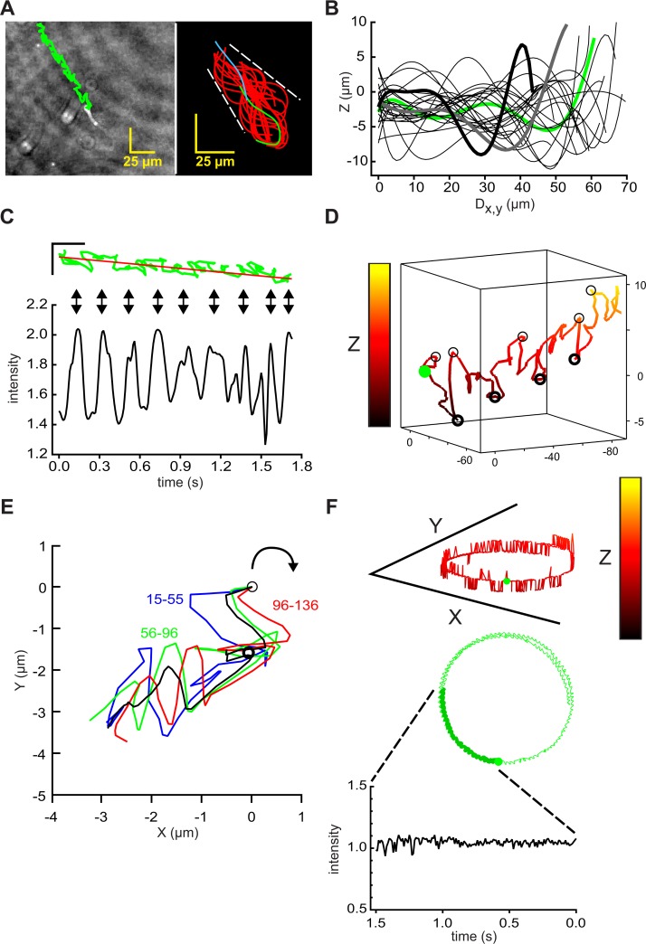 Fig 4