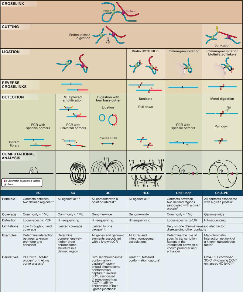 graphic file with name nihms-1003794-f0001.jpg