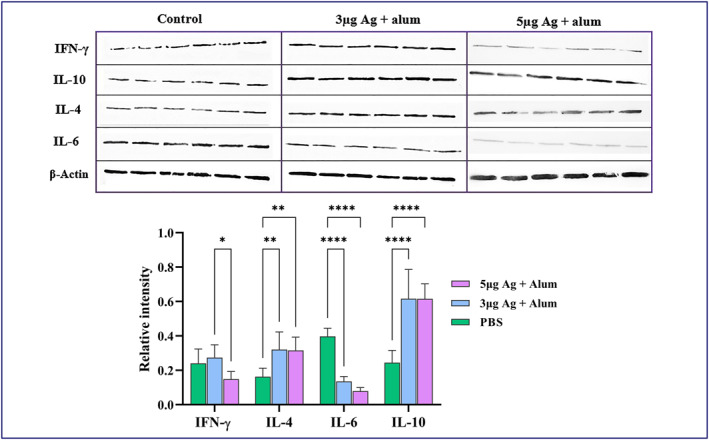 FIGURE 11