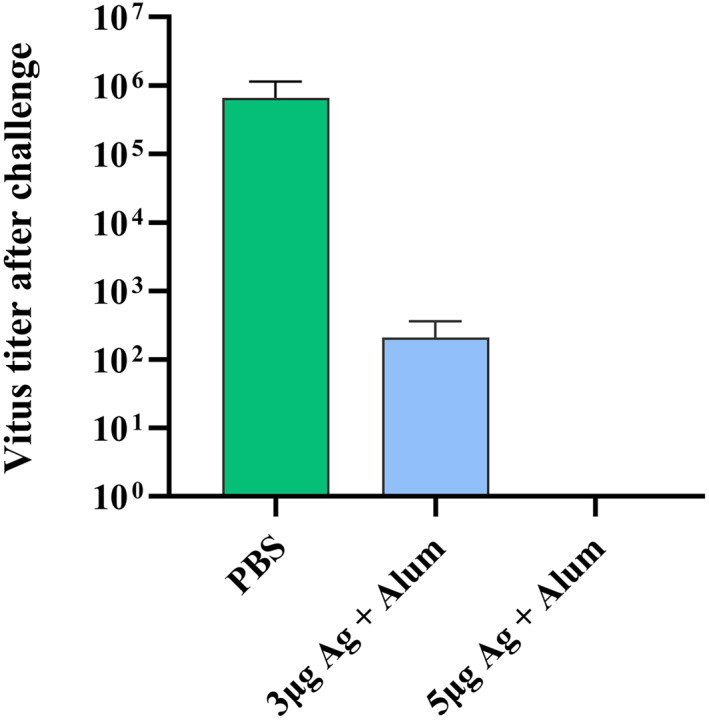 FIGURE 13