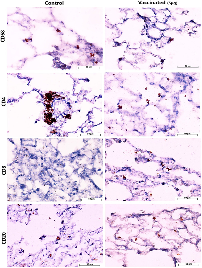 FIGURE 16