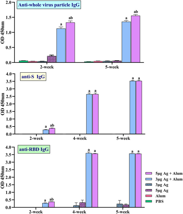 FIGURE 4