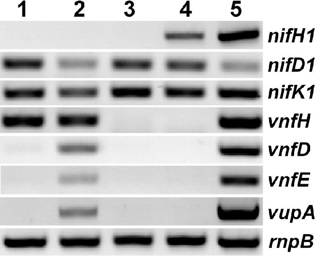 FIG. 5.