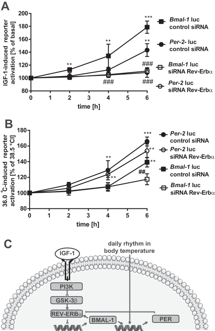 Figure 9.