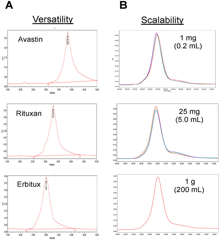 Figure 11.