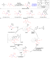 Figure 38
